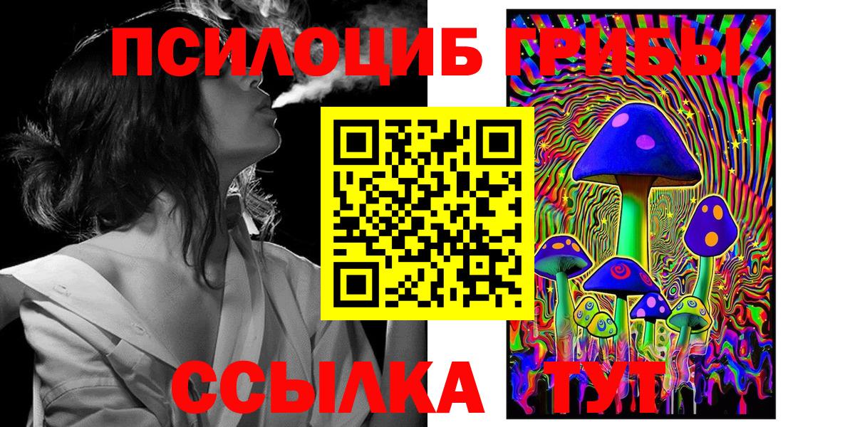 Псилоцибиновые грибы мухоморы  Псилоцибиновые грибы мицелий  цена наркотик  Вход с VPN  Сердобск 