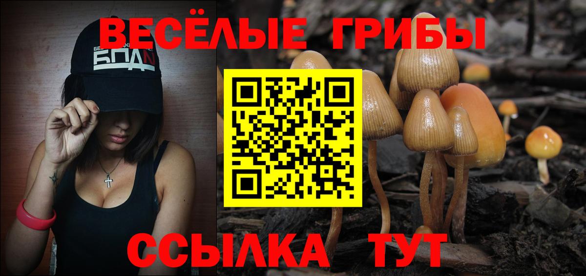 Галлюциногенные грибы Magic Shrooms Сердобск